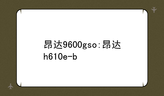 昂达9600gso:昂达h610e-b