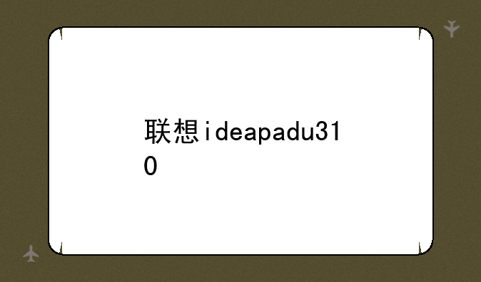 联想ideapadu310