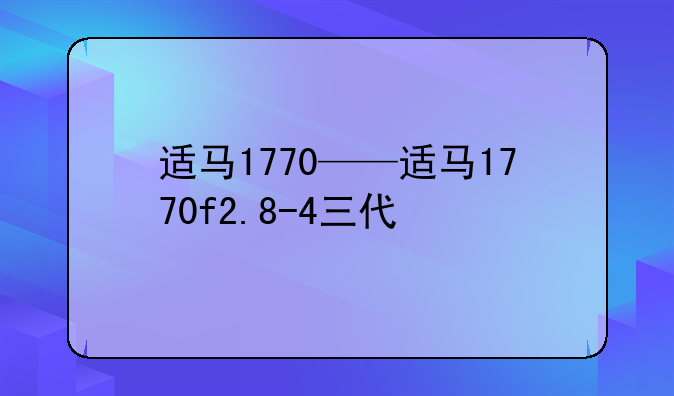 适马1770——适马1770f2.8-4三代